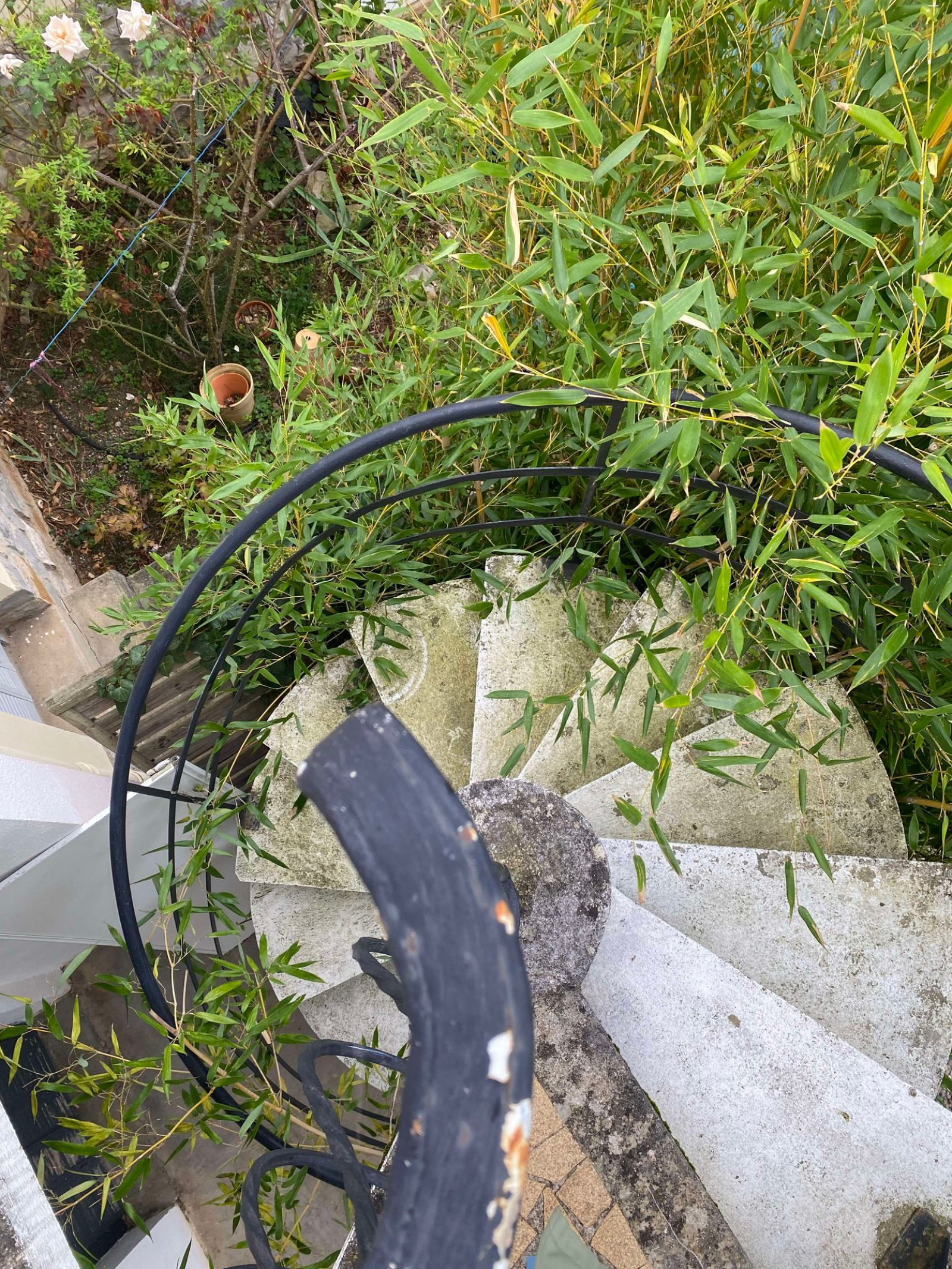 Image_25, Maison, Carcassonne, ref :2966