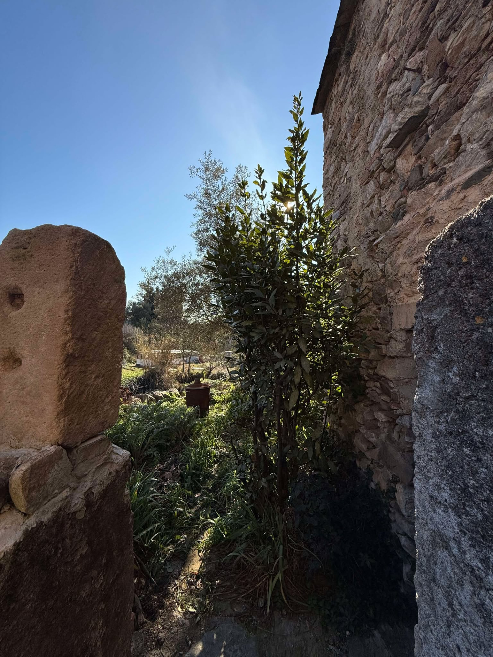 Image_5, Maison, Caunes-Minervois, ref :2978