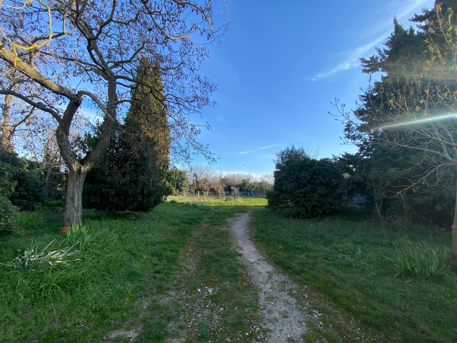 Image_5, Terrain, Carcassonne, ref :2916