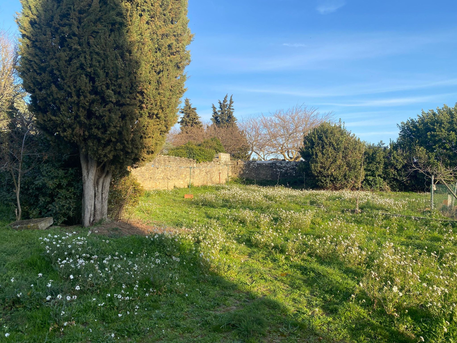 Image_6, Terrain, Carcassonne, ref :2916