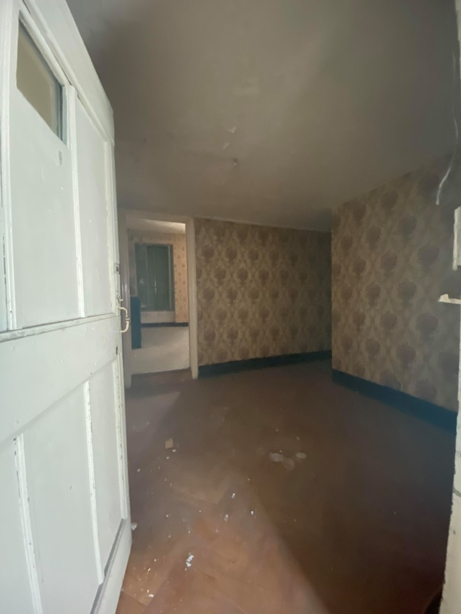 Image_28, Immeuble, Carcassonne, ref :2669