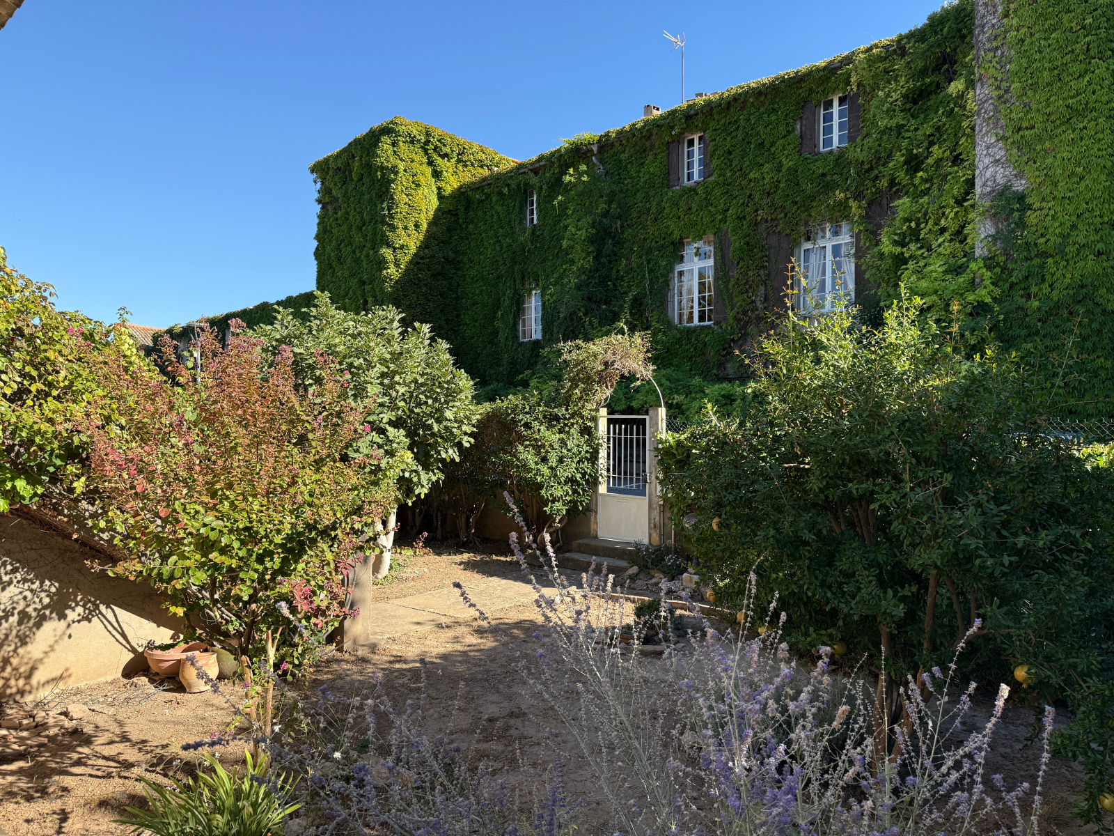 Image_3, Maison, Floure, ref :3115