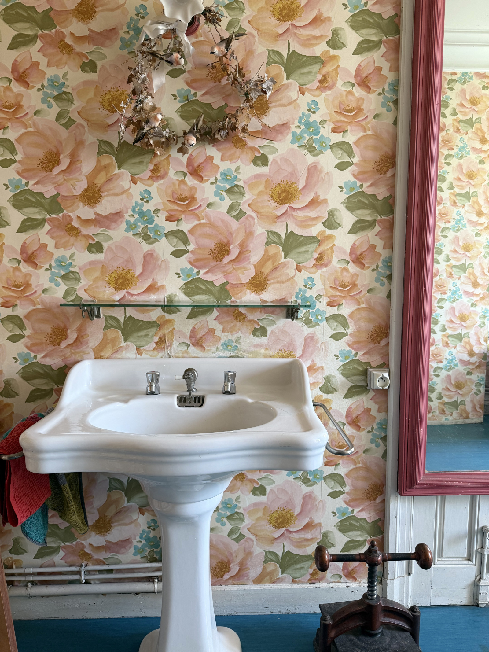 Image_20, Maison, Carcassonne, ref :3010