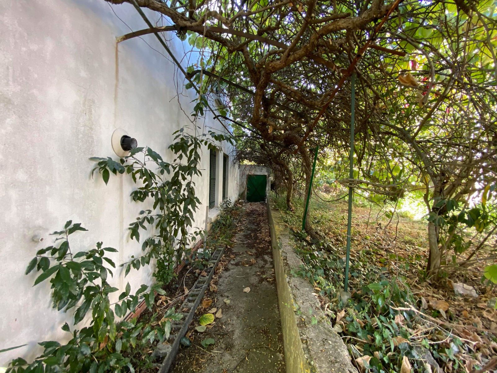 Image_17, Maison, Carcassonne, ref :2710