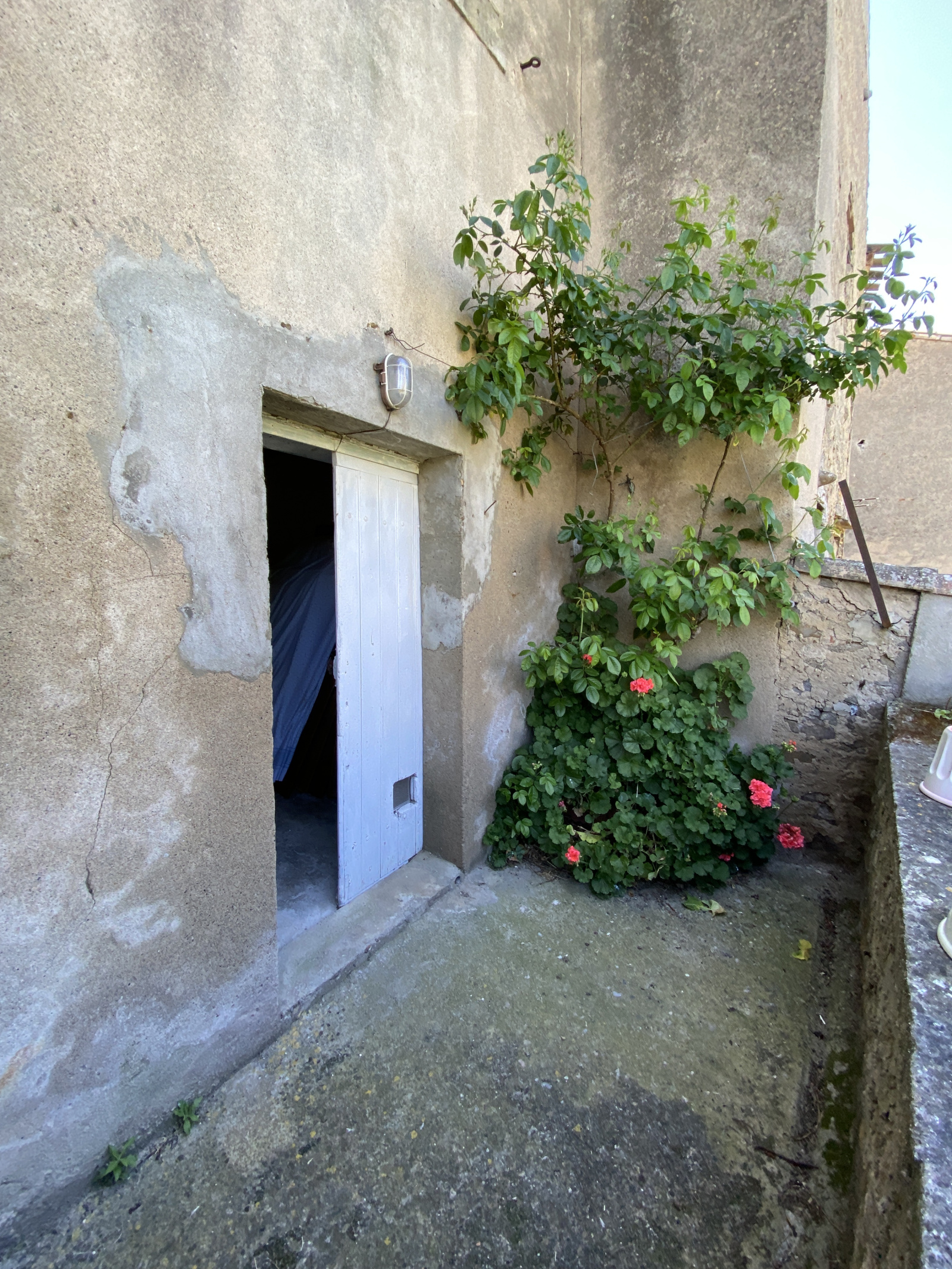 Image_18, Maison, Carcassonne, ref :2871
