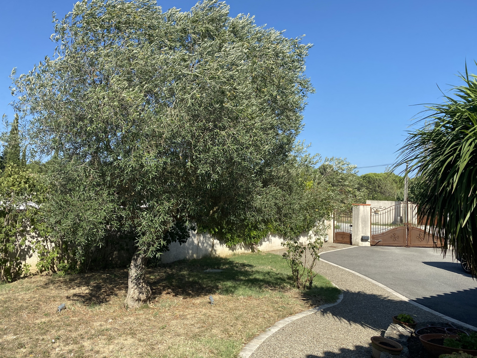 Image_32, Maison, Villemoustaussou, ref :2773