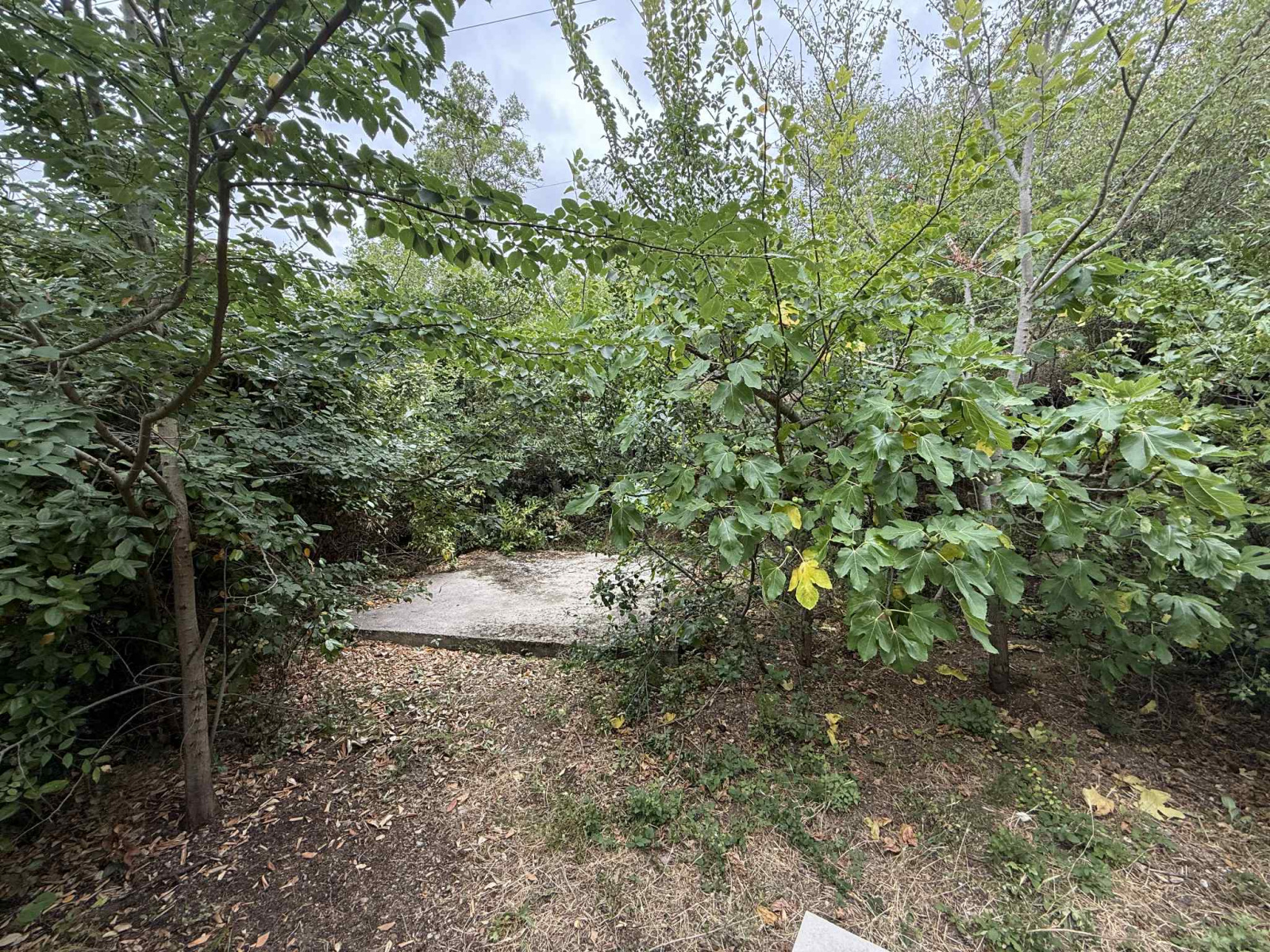 Image_23, Maison, Moussoulens, ref :3027