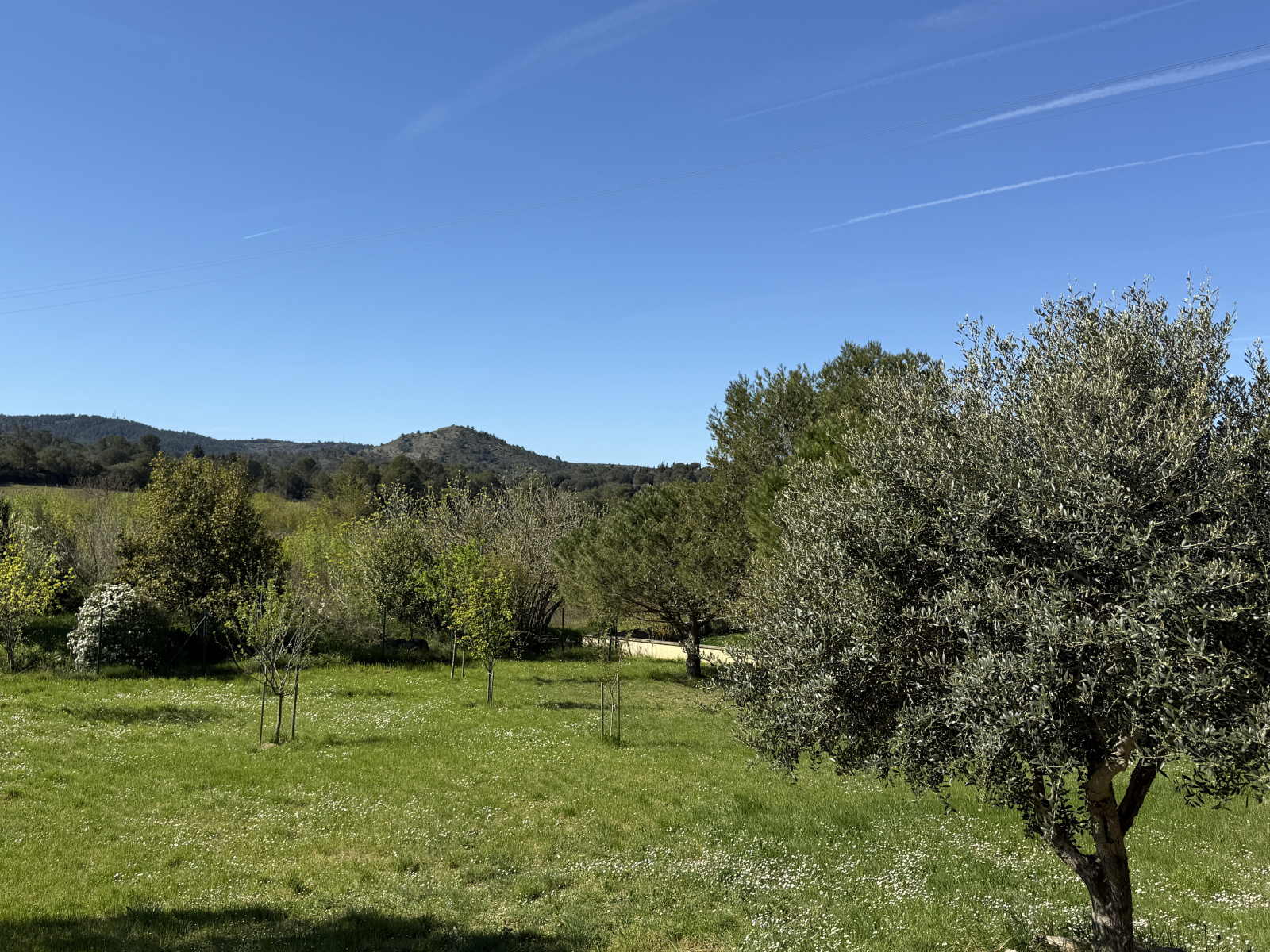 Image_5, Maison, Montirat, ref :3077