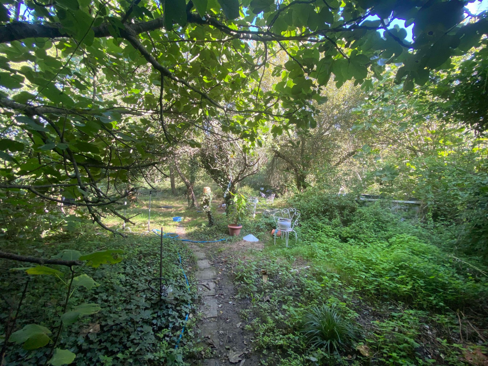 Image_3, Maison, Villemagne, ref :2962