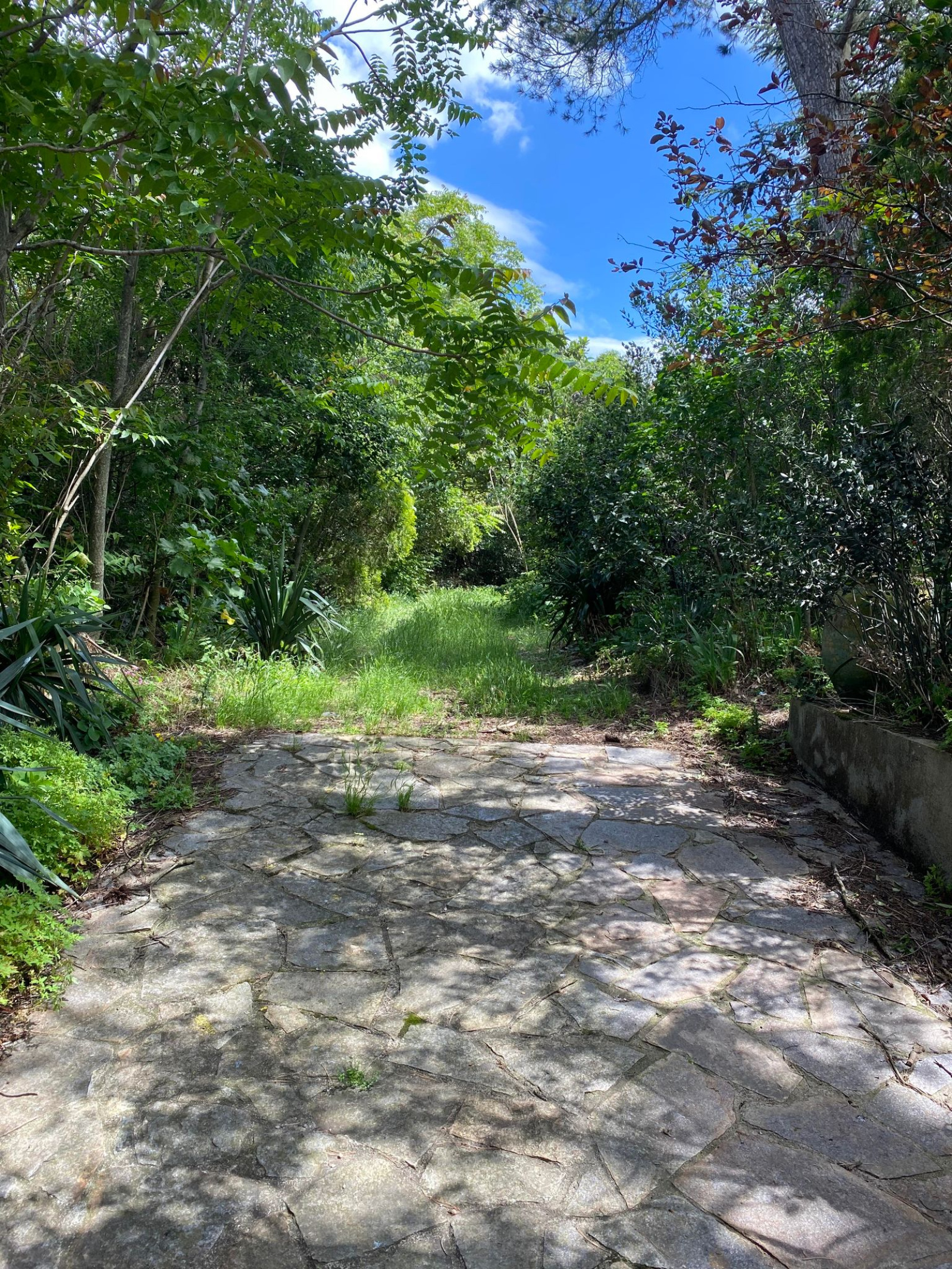 Image_8, Maison, Carcassonne, ref :3003