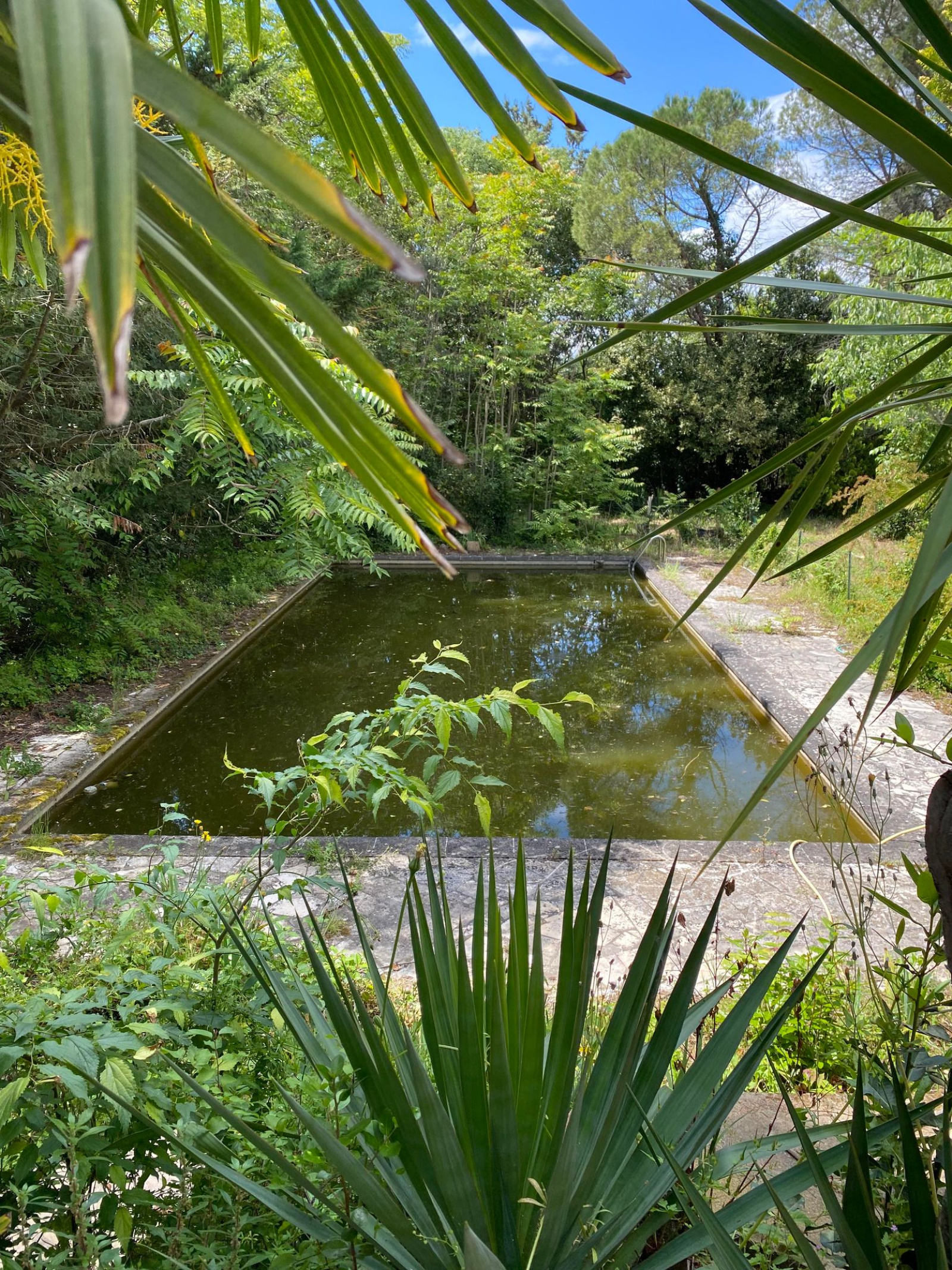 Image_5, Maison, Carcassonne, ref :3003