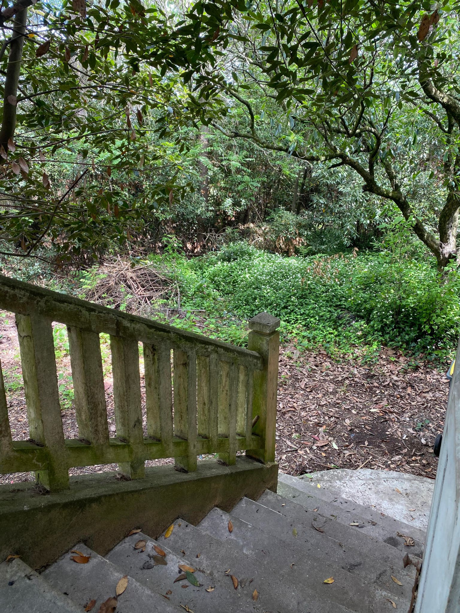 Image_11, Maison, Carcassonne, ref :3003