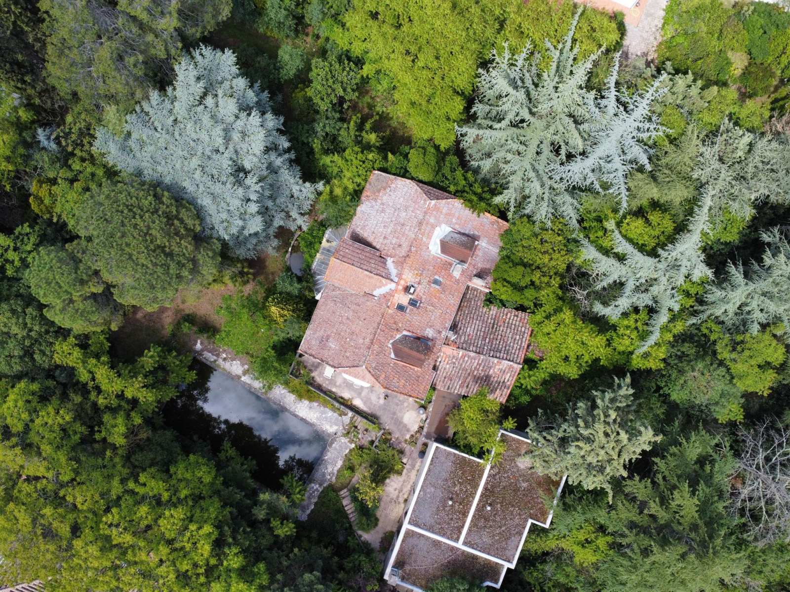 Image_4, Maison, Carcassonne, ref :3003