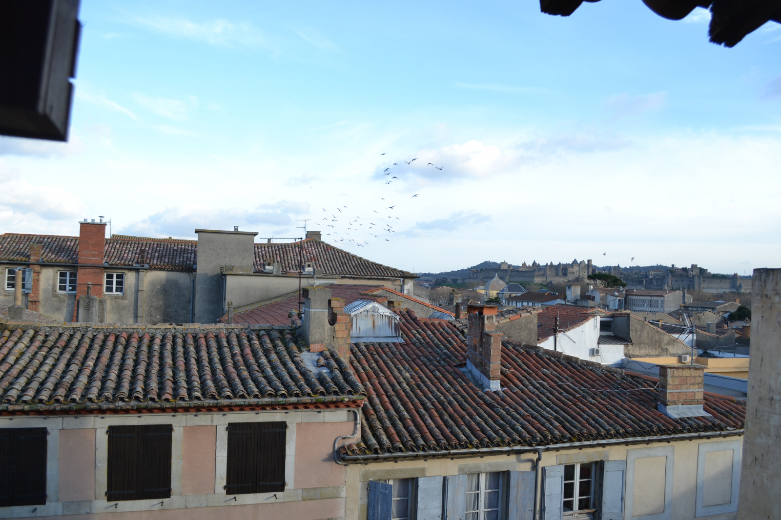 Image_2, Appartement, Carcassonne, ref :2655