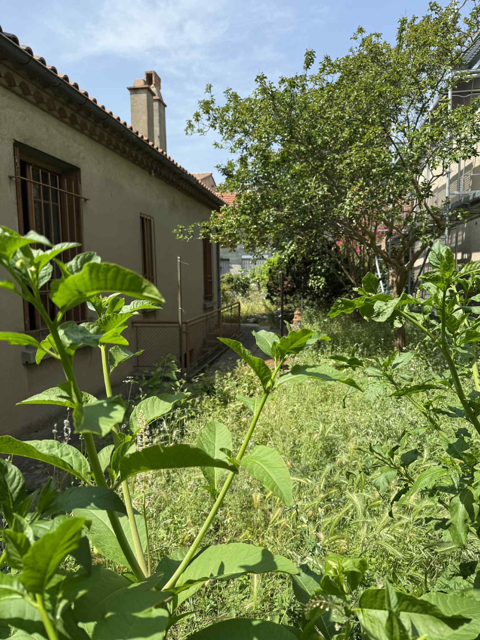 Image_5, Maison, Carcassonne, ref :3008