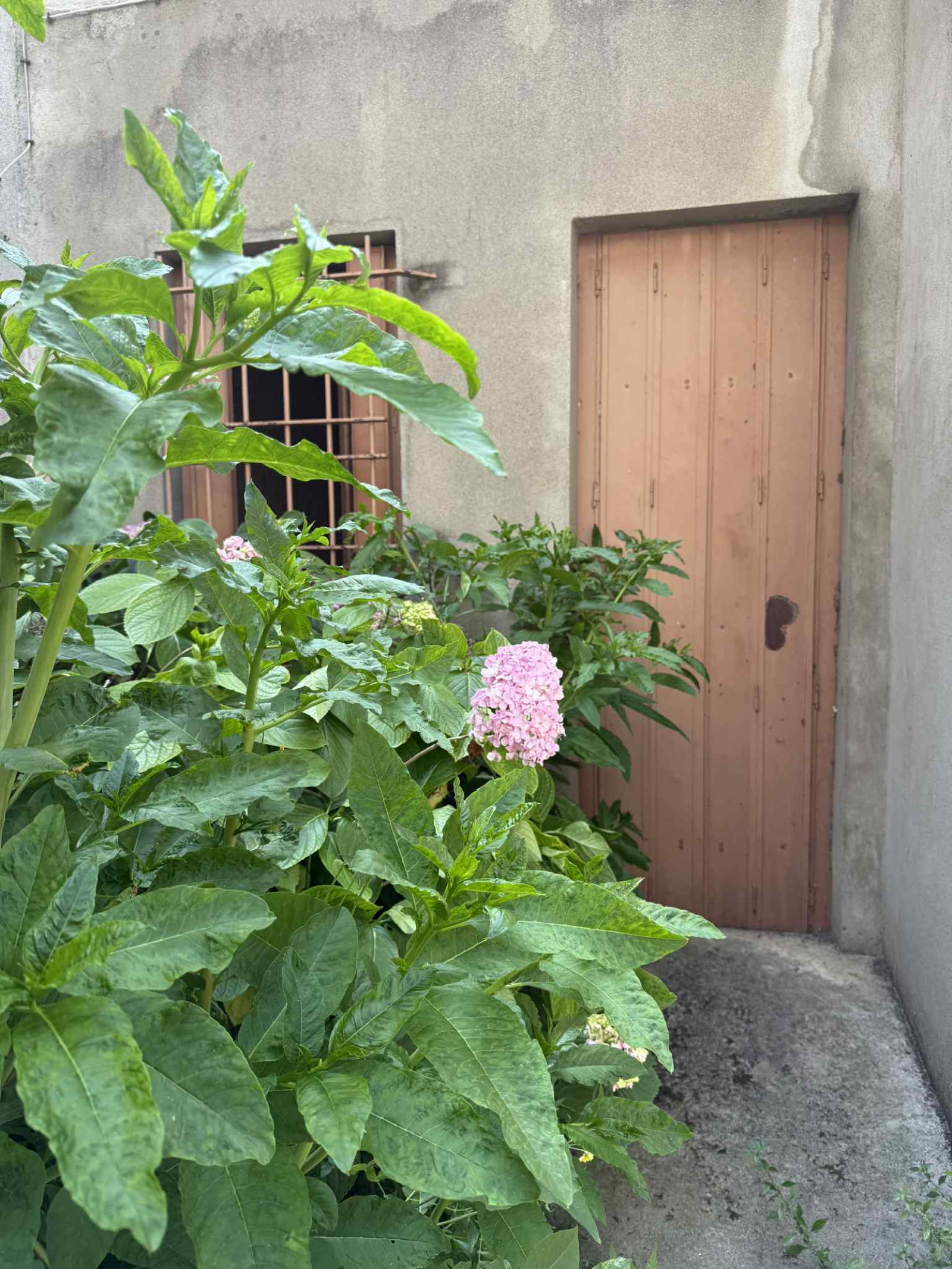 Image_3, Maison, Carcassonne, ref :3008