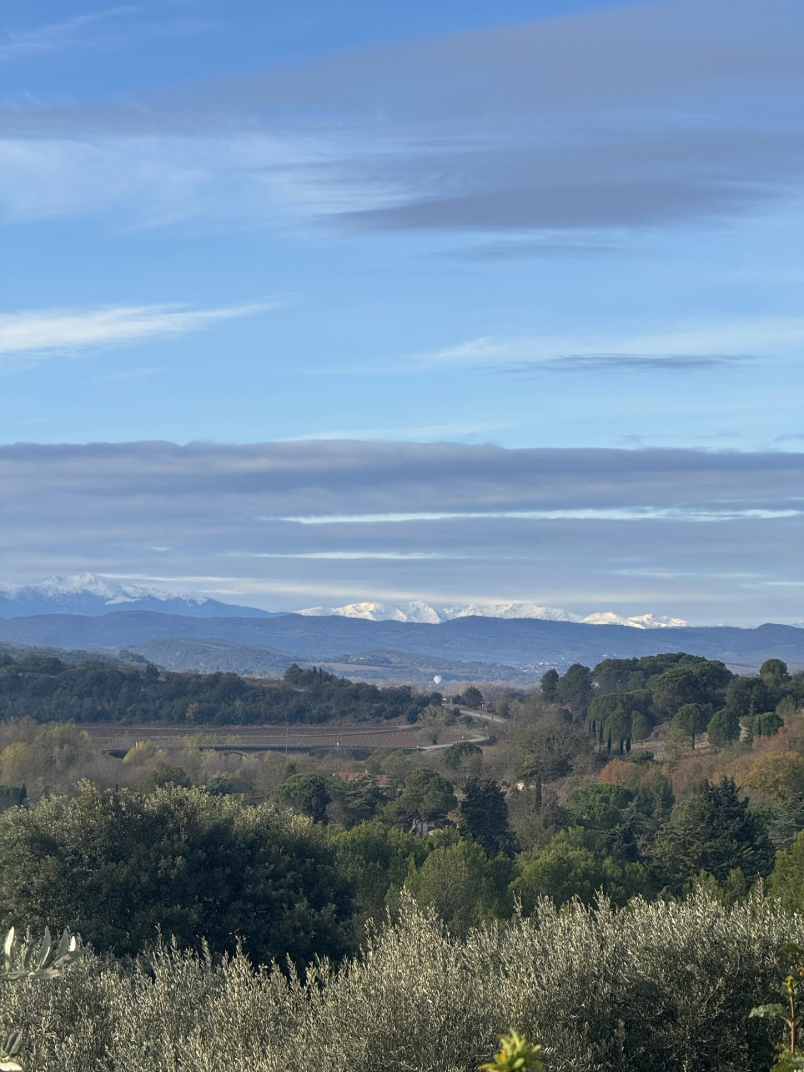 Image_7, Terrain, Verzeille, ref :3067a
