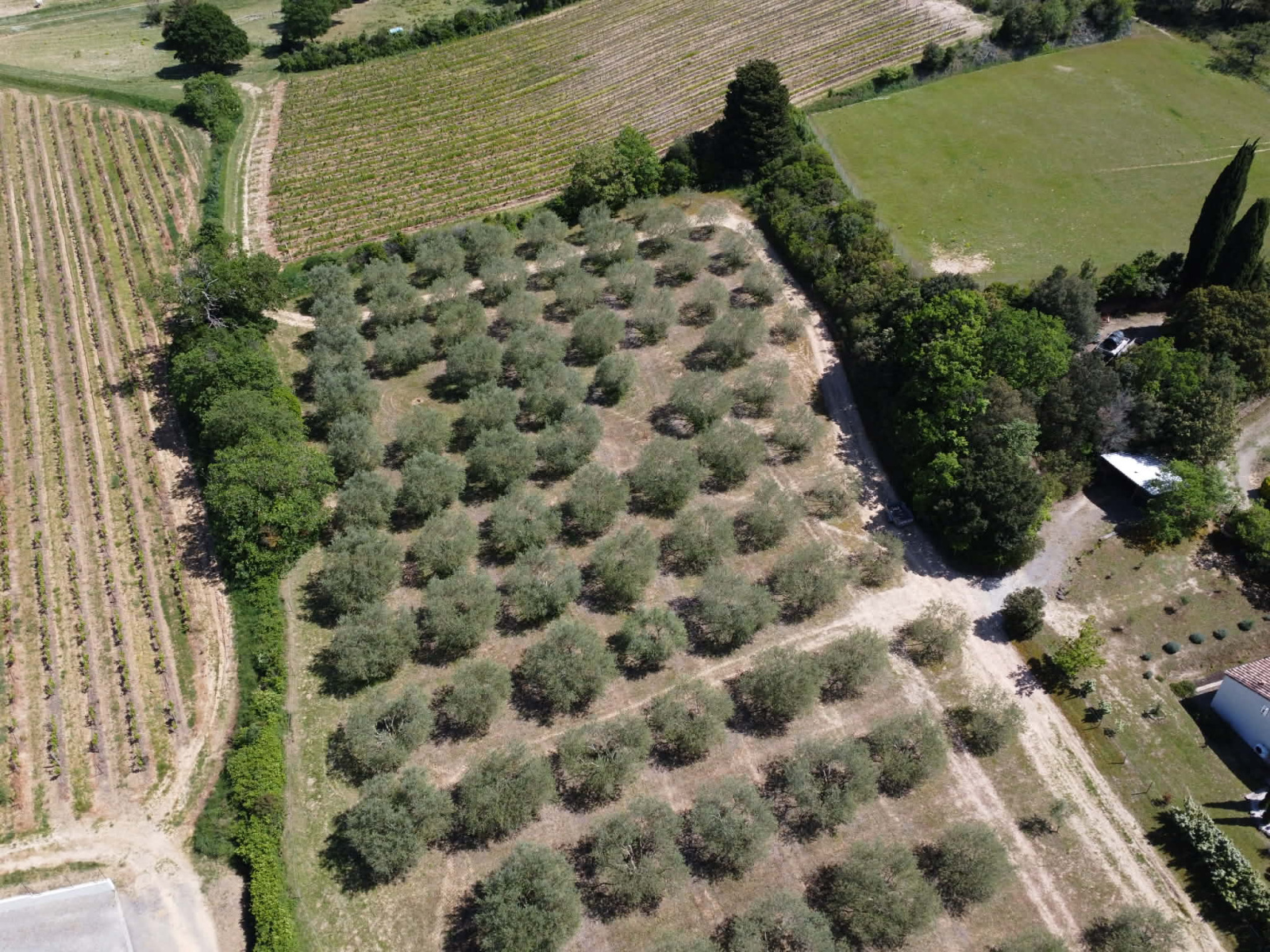 Image_2, Terrain, Verzeille, ref :3067a