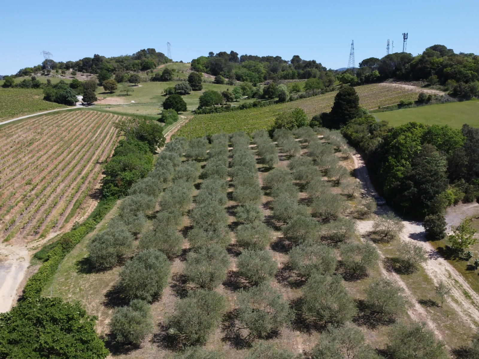 Image_6, Terrain, Verzeille, ref :3067a