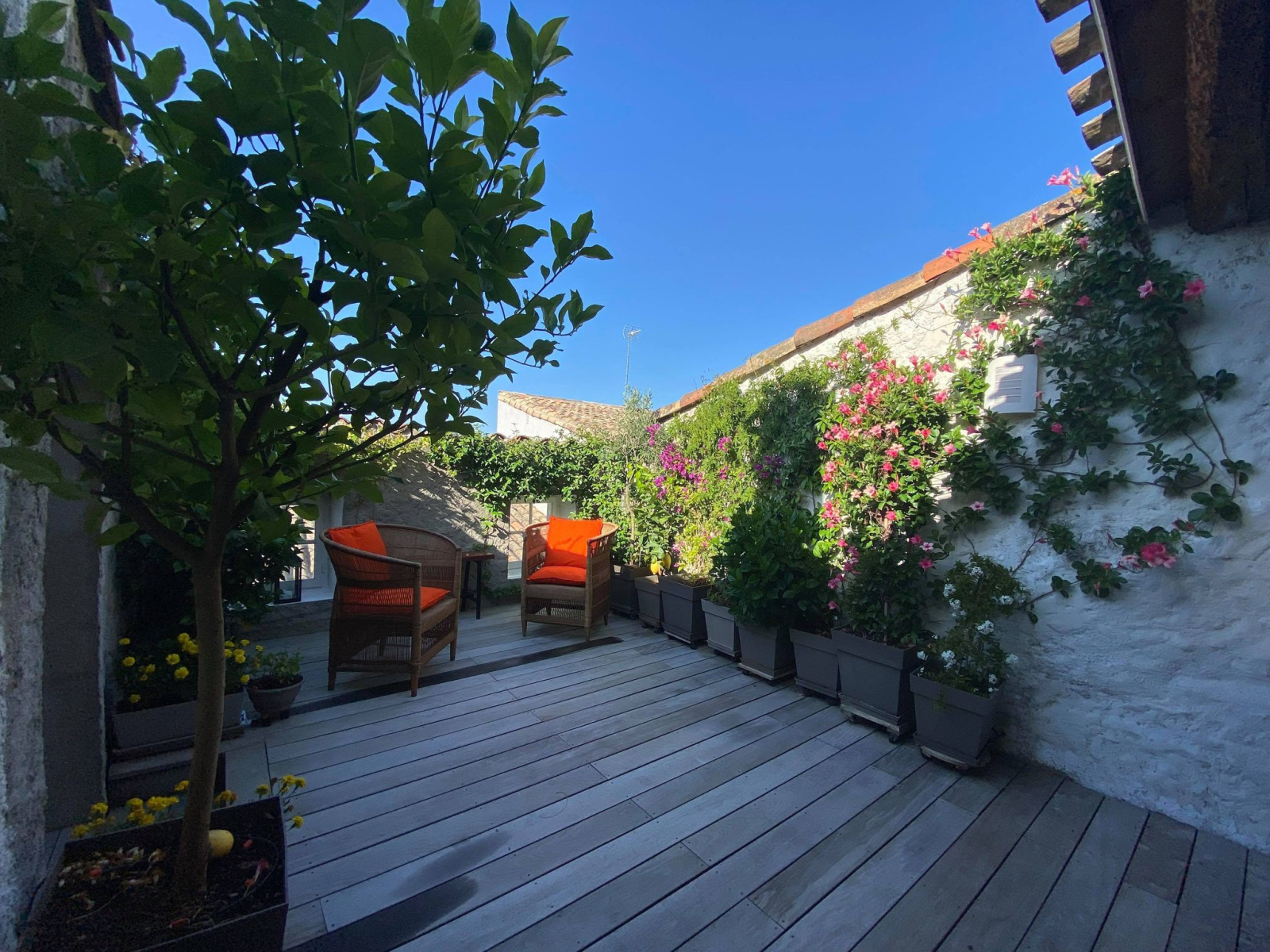 Image_28, Maison, Carcassonne, ref :2776