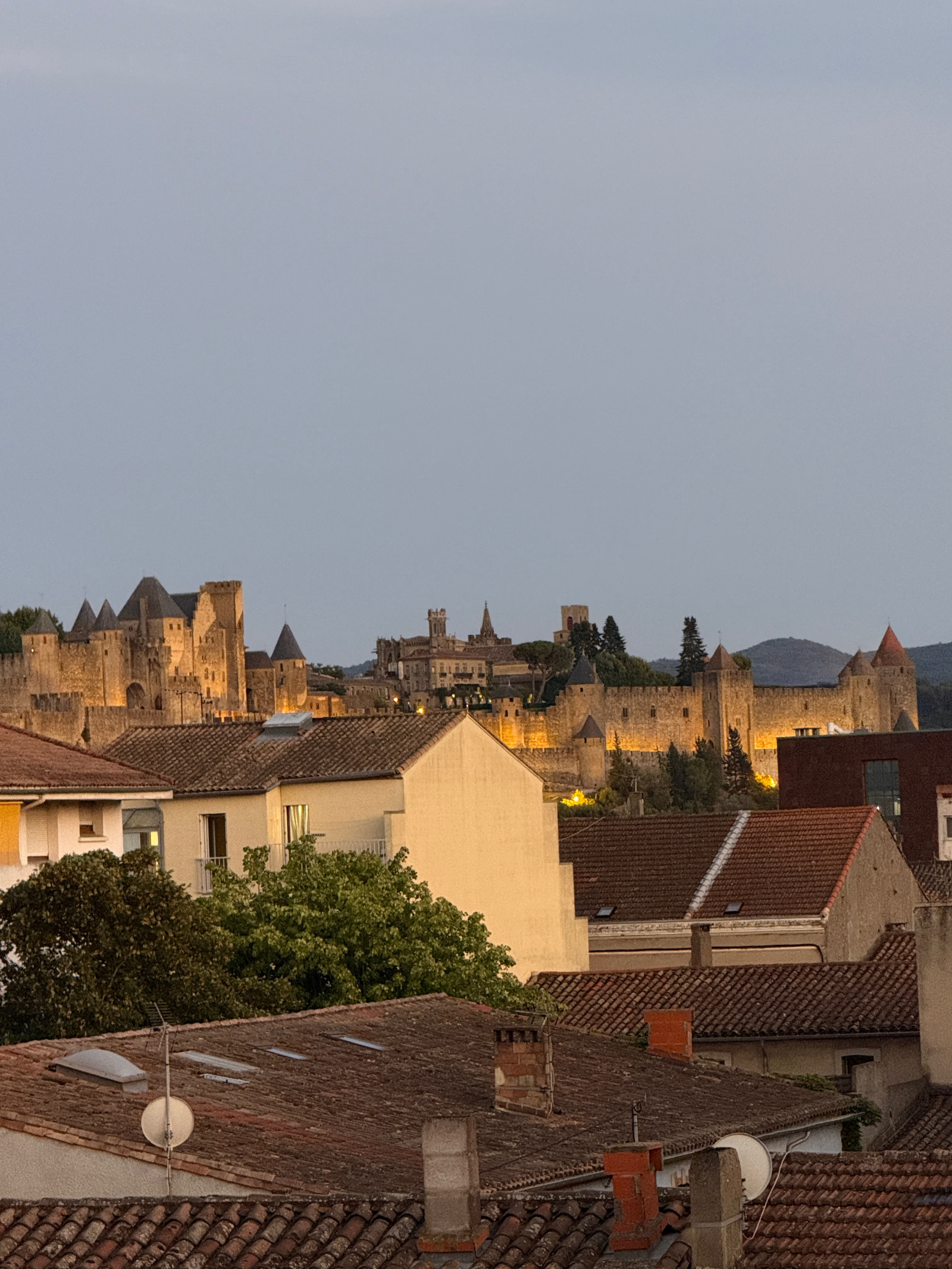 Image_9, Appartement, Carcassonne, ref :2985