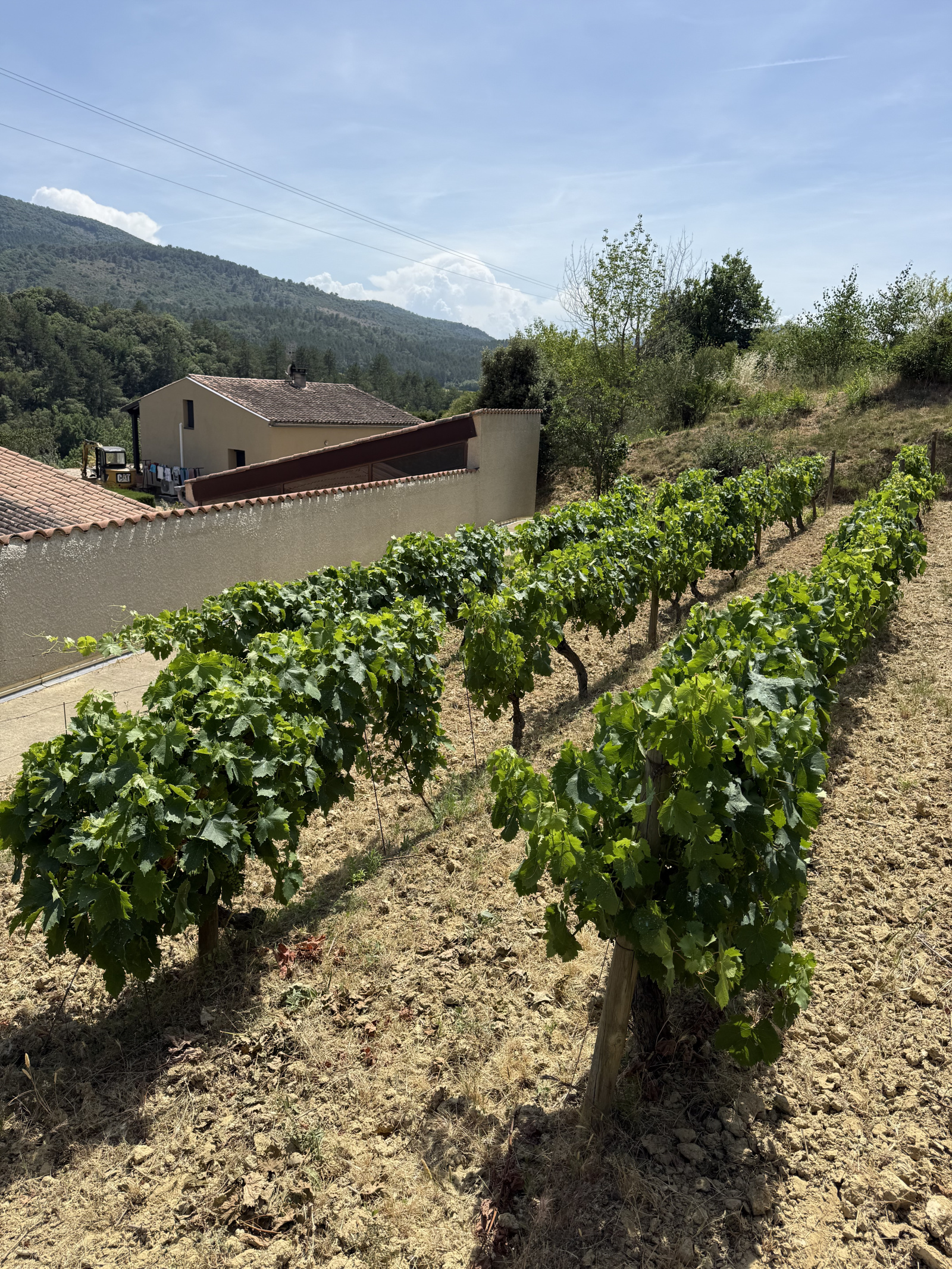 Image_7, Maison, Saint-Polycarpe, ref :3096