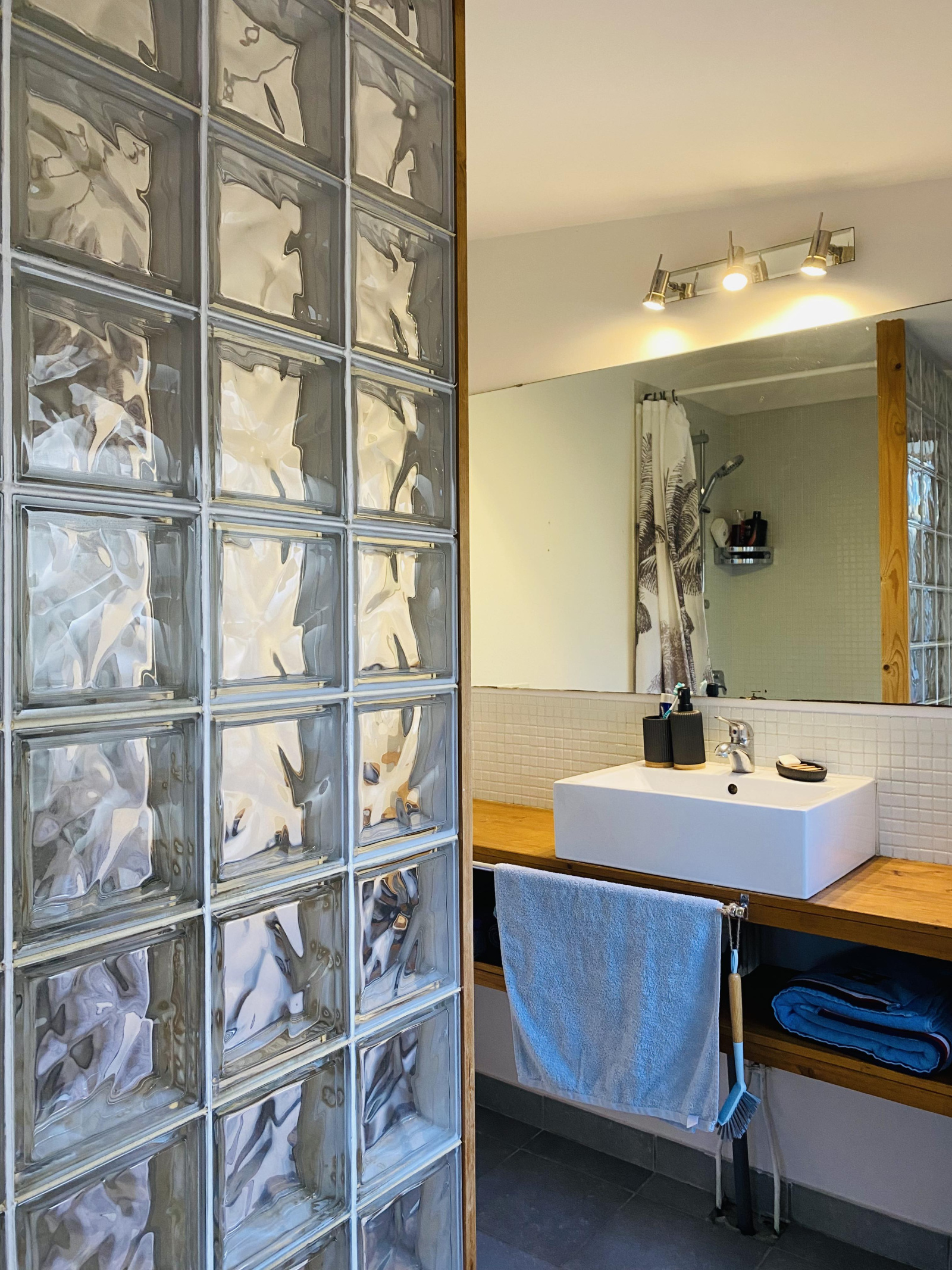 Image_14, Maison, Carcassonne, ref :2909