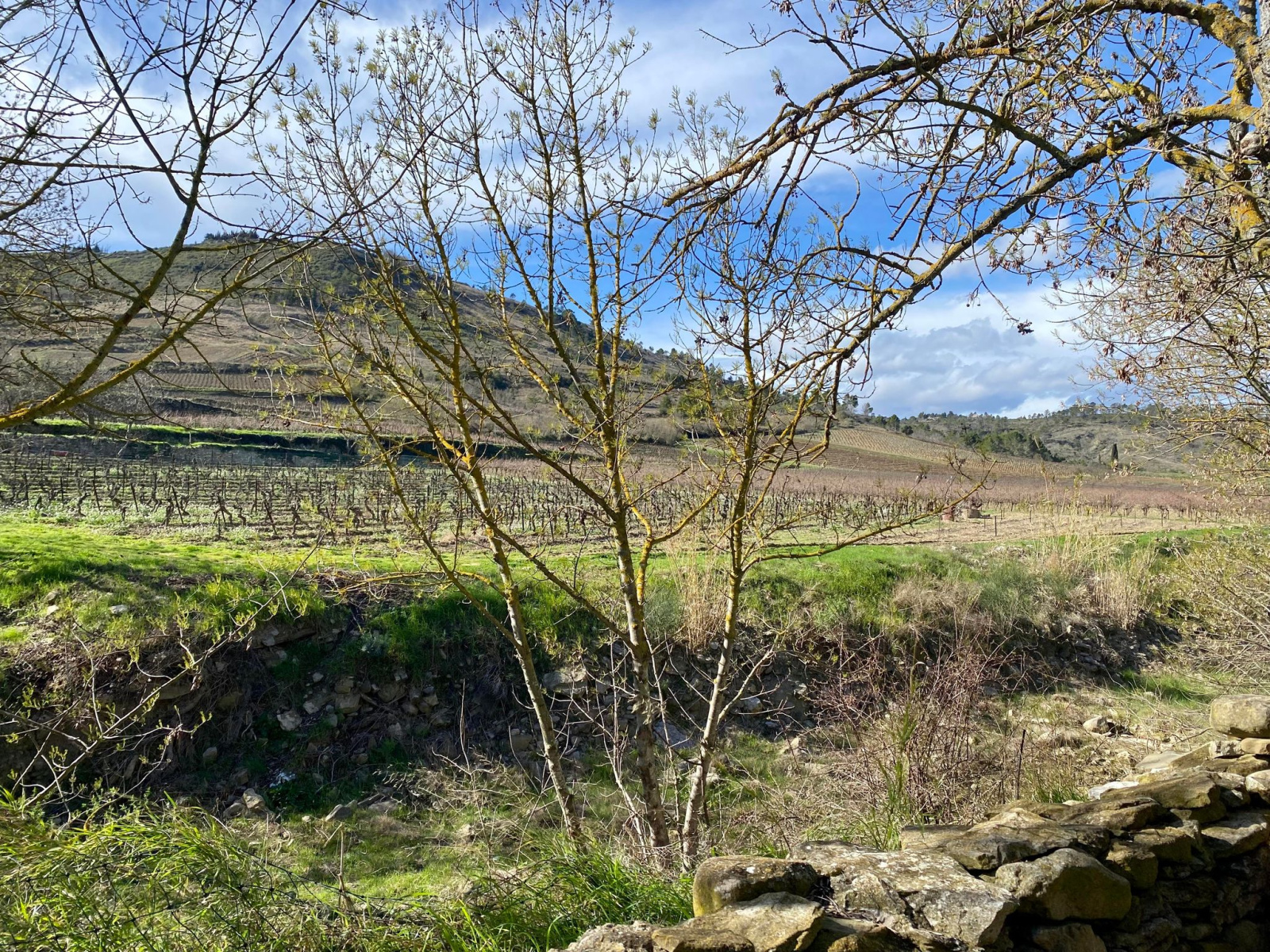 Image_27, Maison, Carcassonne, ref :2920