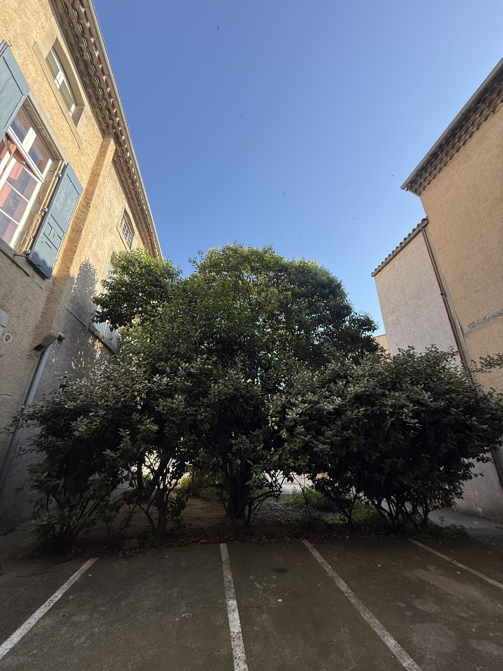 Image_13, Local commercial, Carcassonne, ref :3093