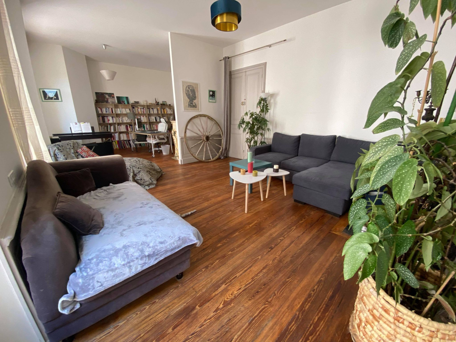 Image_4, Appartement, Carcassonne, ref :2770