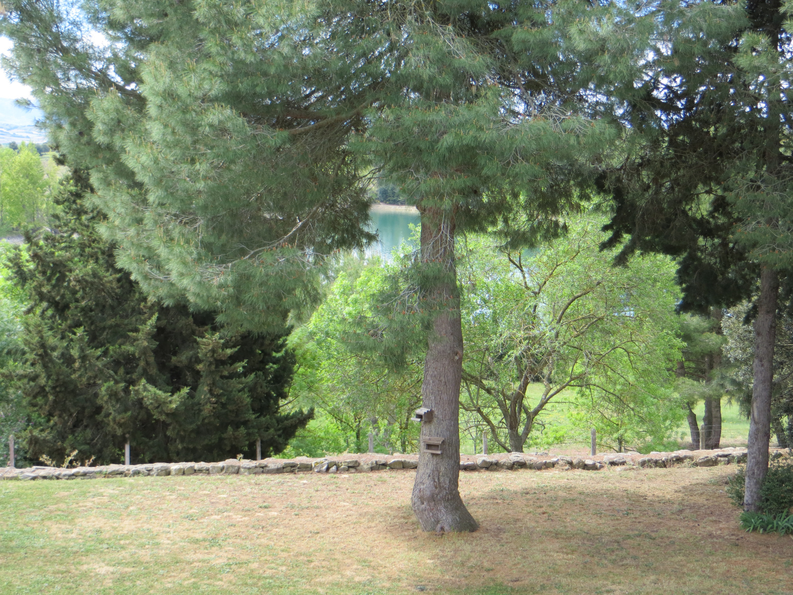 Image_8, Maison, Carcassonne, ref :2632