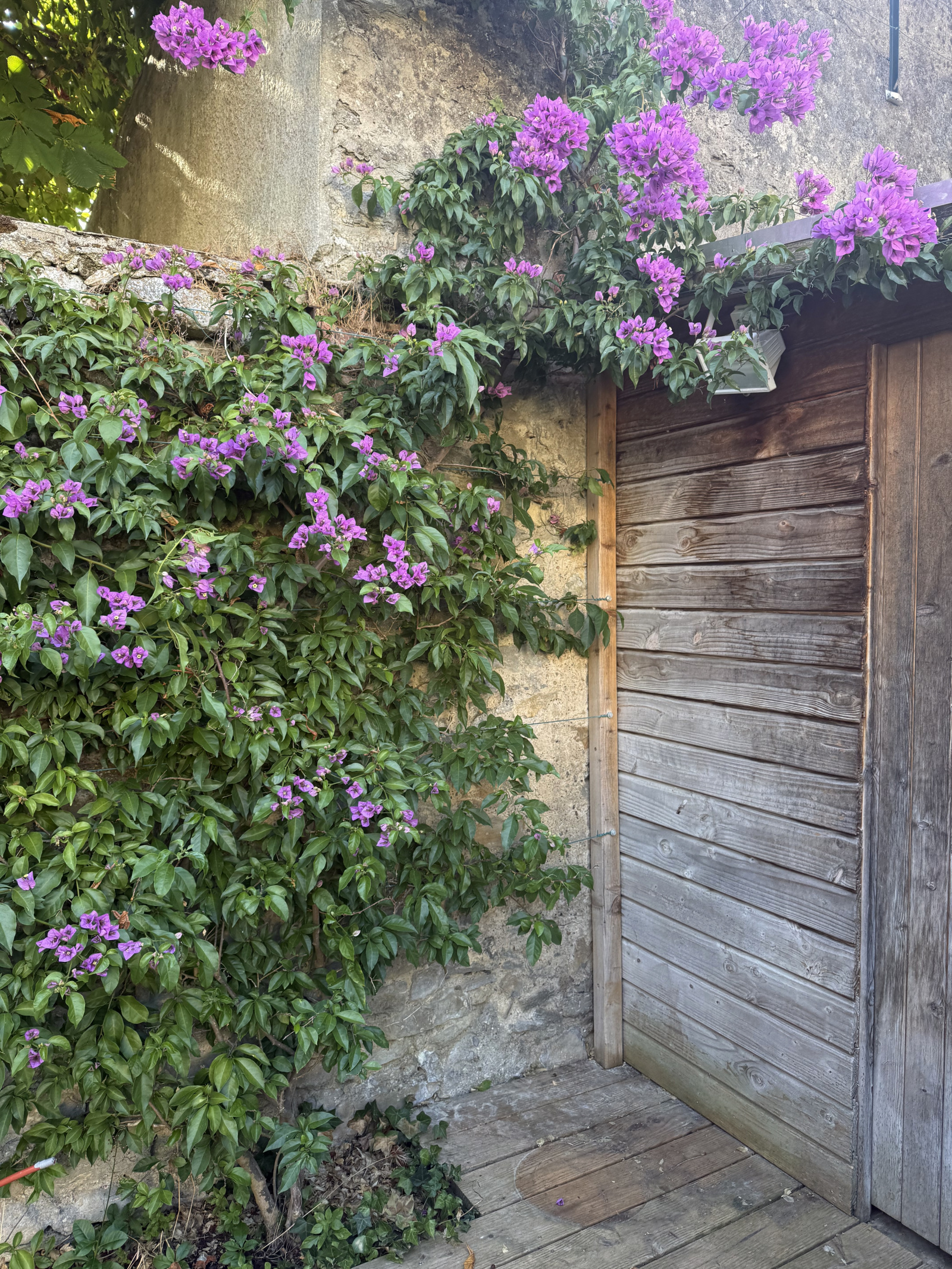 Image_3, Maison, Carcassonne, ref :3095