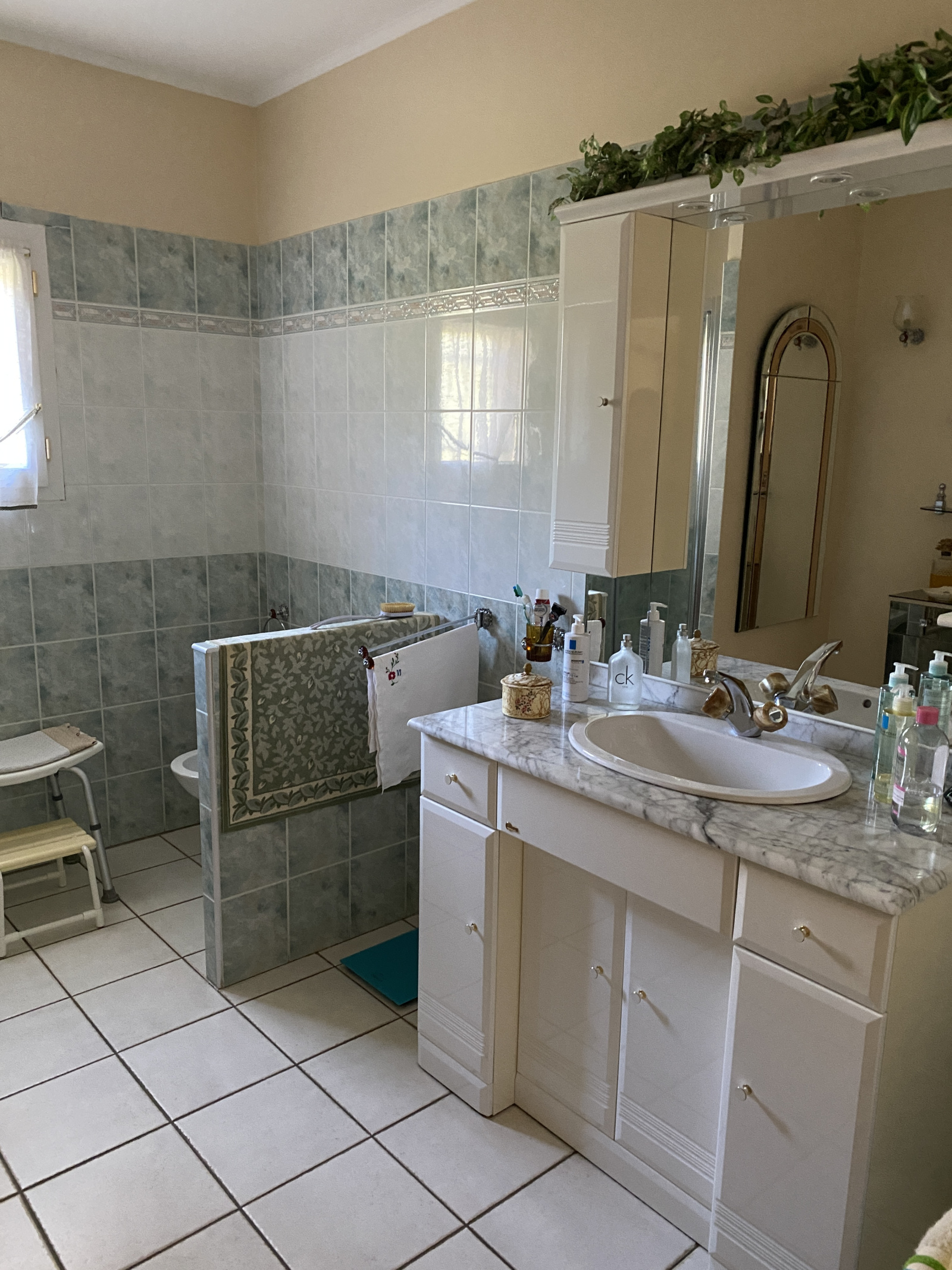 Image_18, Maison, Carcassonne, ref :2923