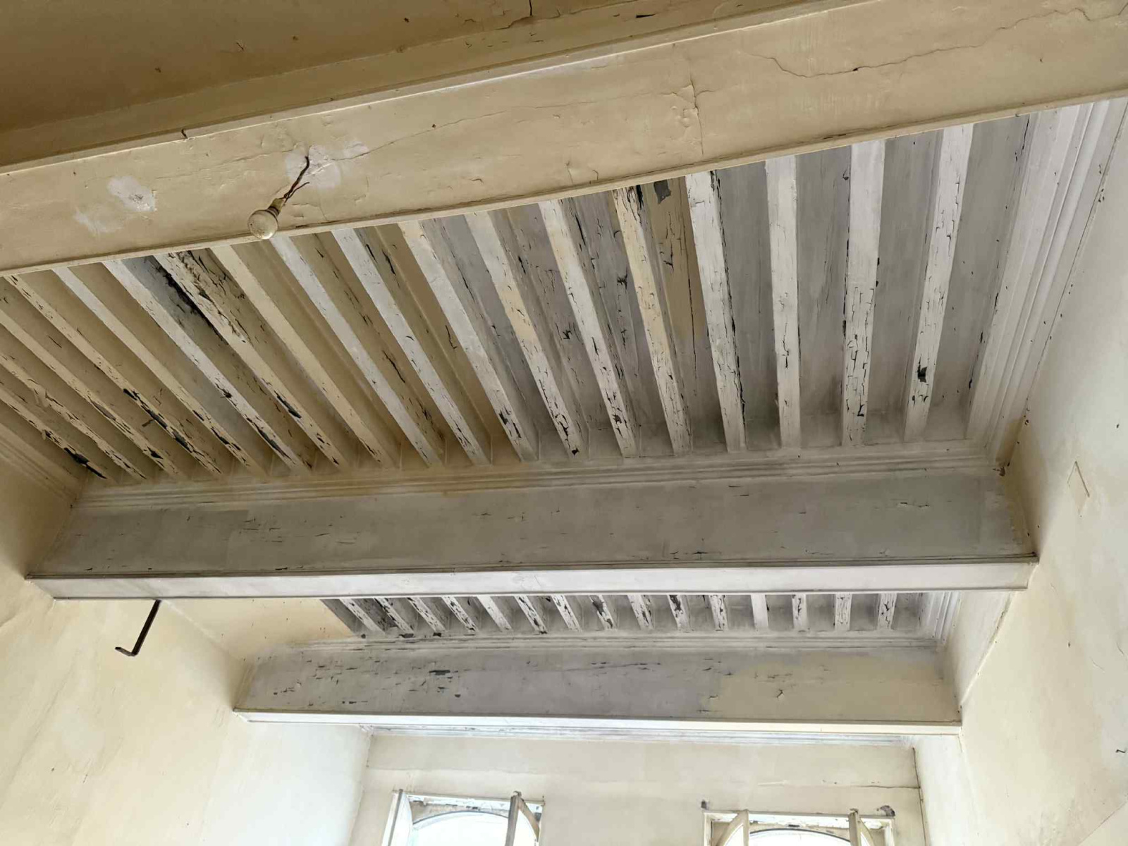 Image_5, Immeuble, Carcassonne, ref :3060