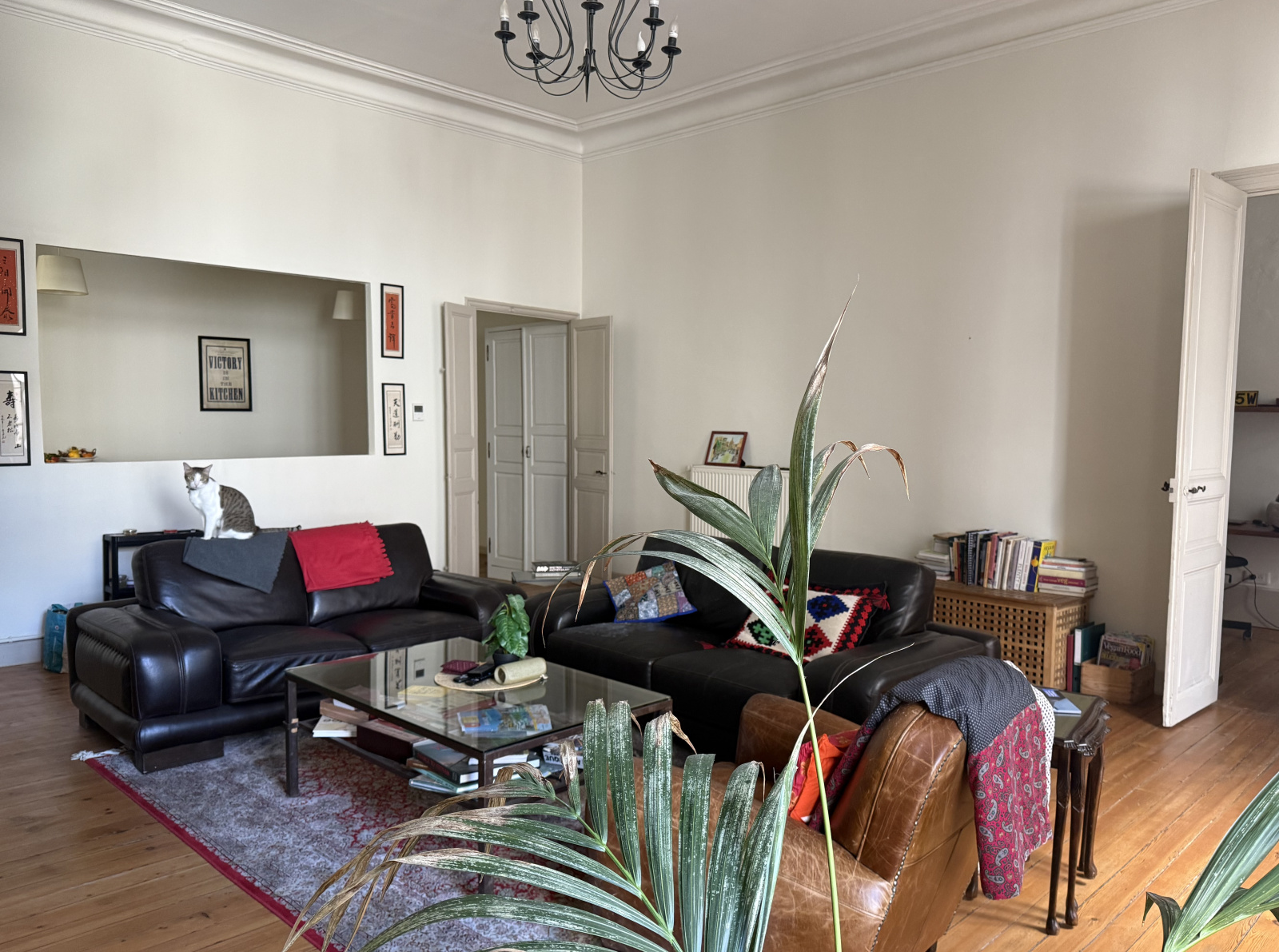 Image_2, Appartement, Carcassonne, ref :3101