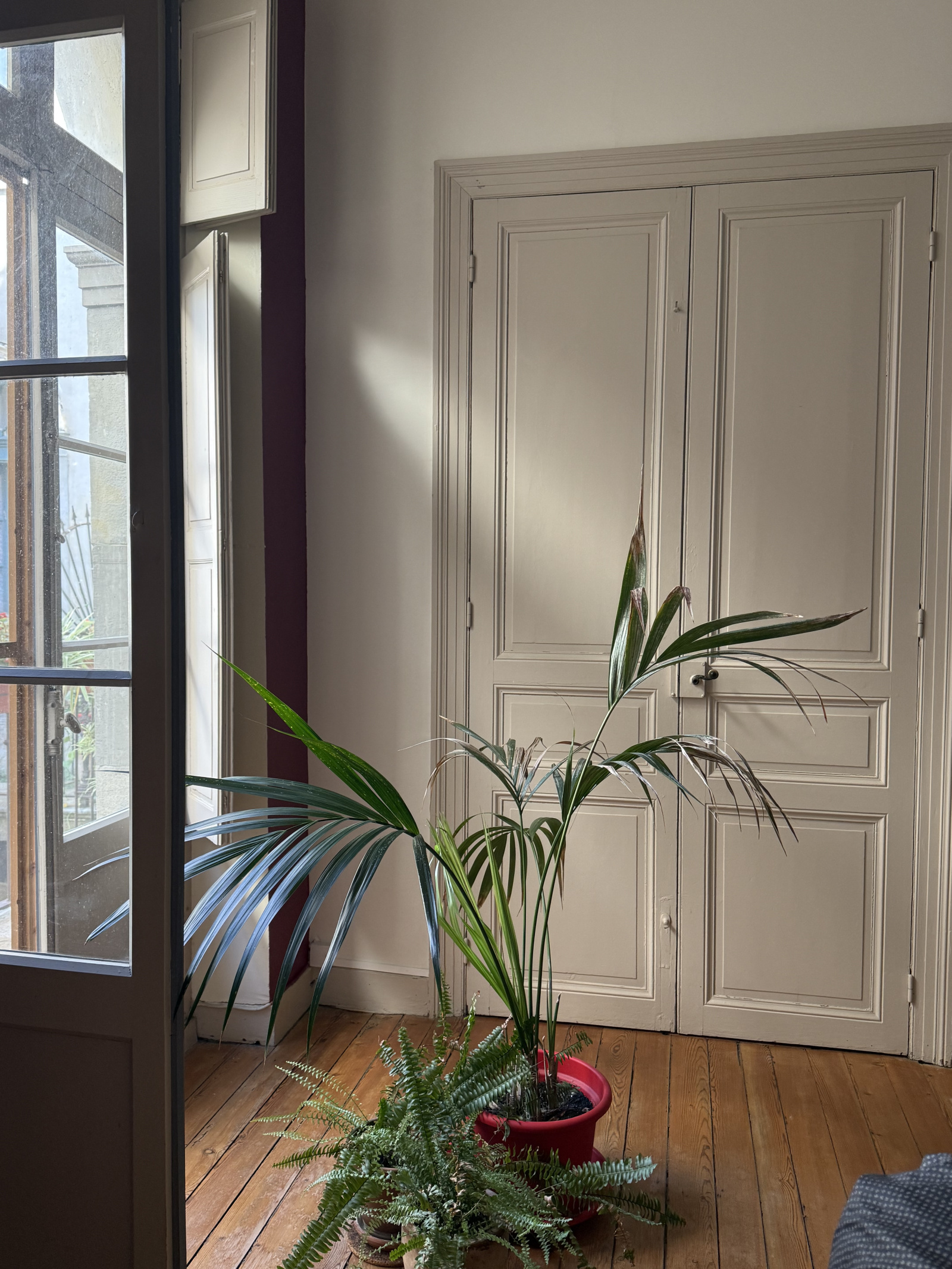 Image_9, Appartement, Carcassonne, ref :3101