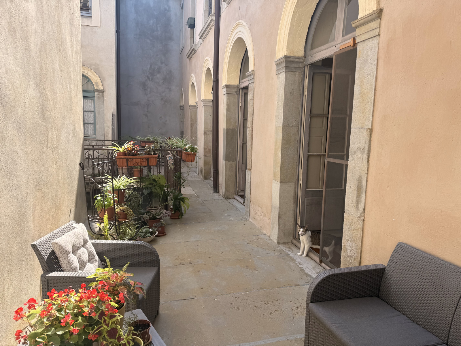 Image_1, Appartement, Carcassonne, ref :3101