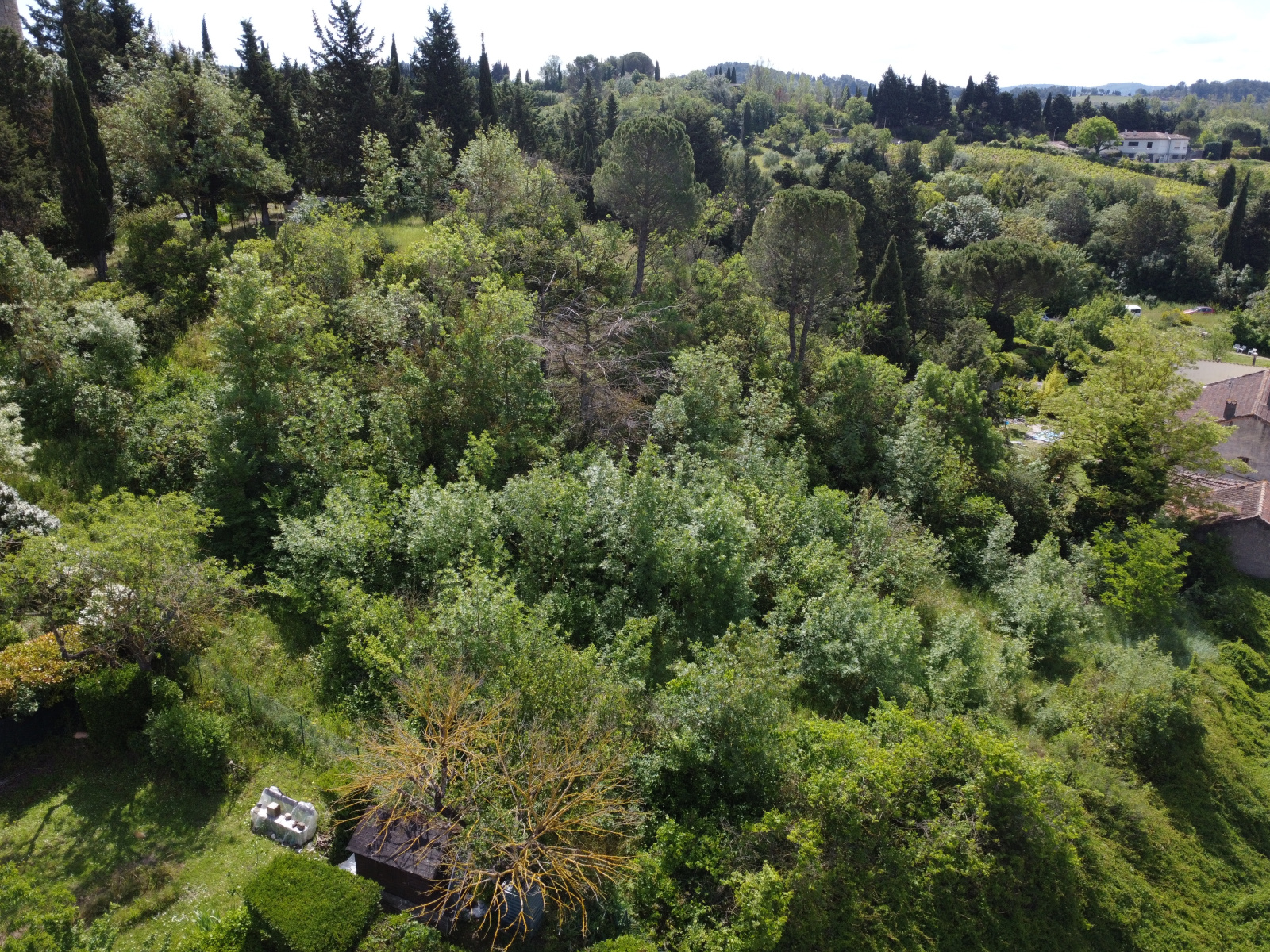 Image_4, Terrain à batir, Carcassonne, ref :3005