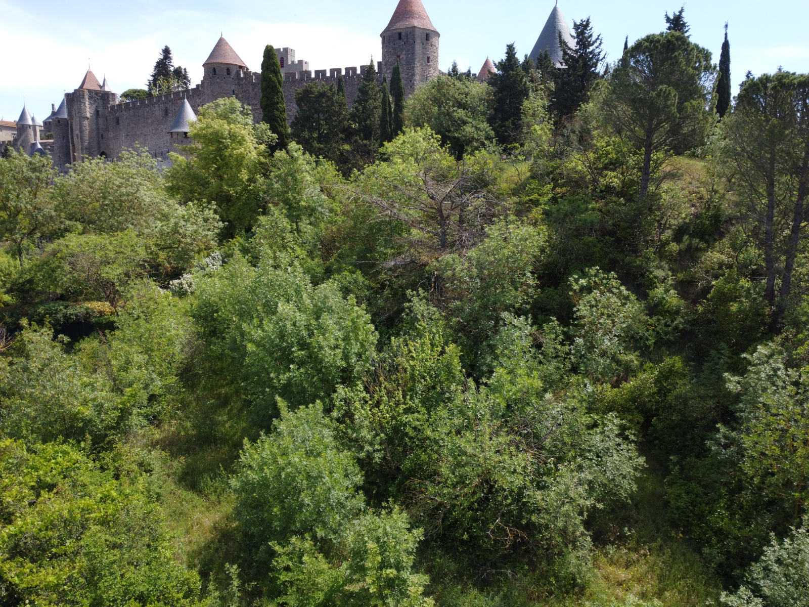 Image_3, Terrain à batir, Carcassonne, ref :3005